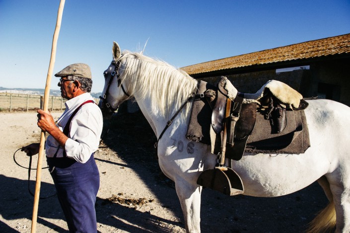 The Traditional Campinos of Portugal | Lusitano Horse Finder